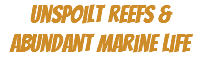 Unspoilt reefs & Abundant Marine Life